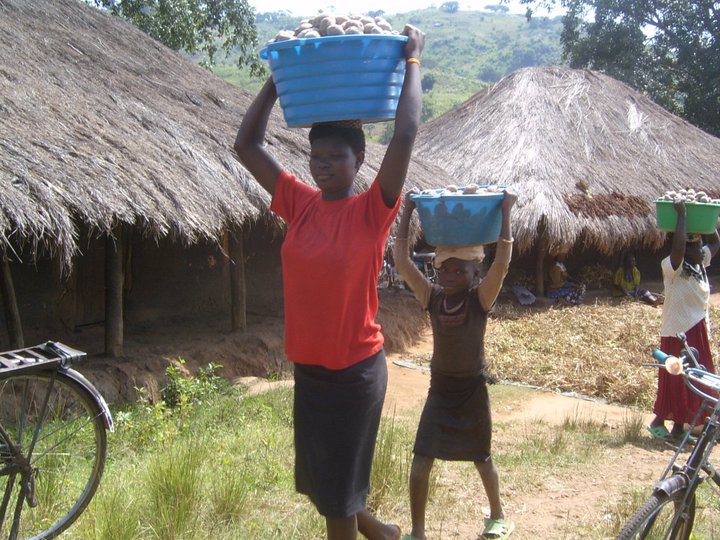 Carrying Potatoes